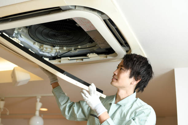 Best Air Duct Inspection  in Greenville, NY